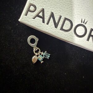 Pandora Silver Charm with Blue and Silver